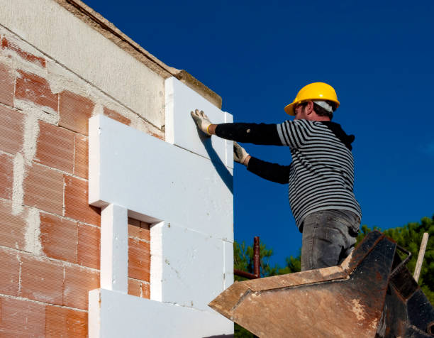 Best Commercial Insulation in Palm Shores, FL