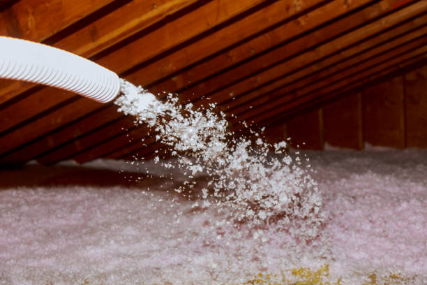 Best Insulation Materials and Products in Palm Shores, FL