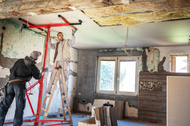 Best Residential Insulation in Palm Shores, FL